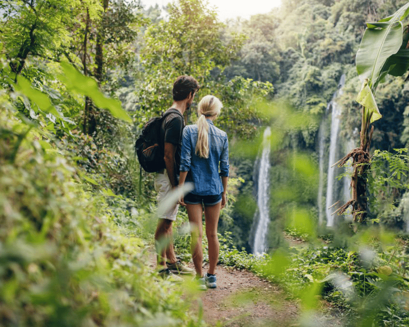 Hike Into Heritage Rainforest Hike, Waterfall Swim And Culture
