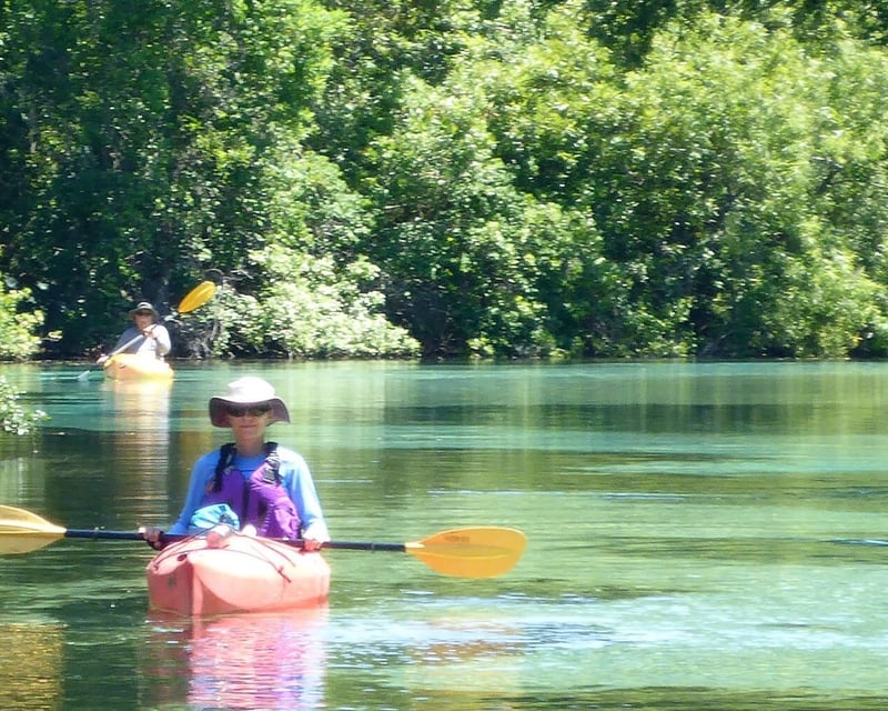 4-Hour River Paddle Trip in Chuluota