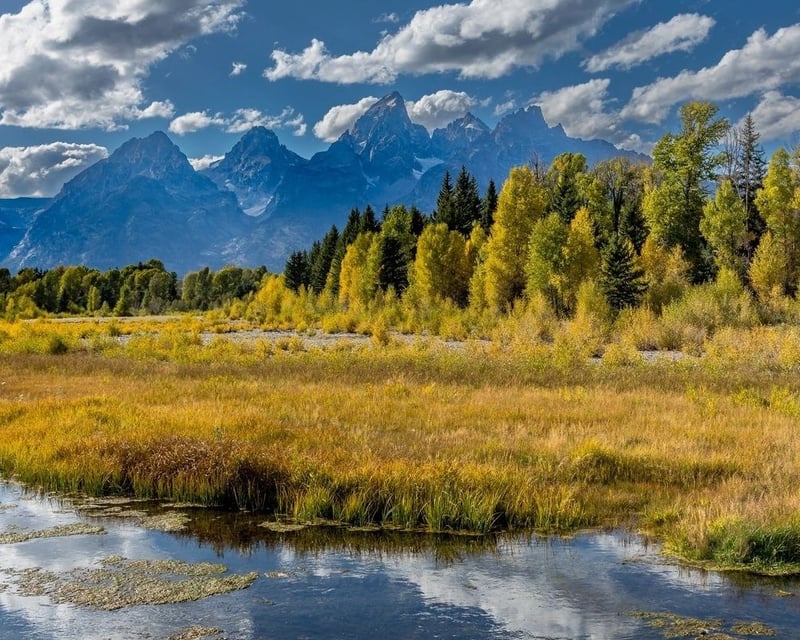 Full-Day Grand Teton National Park Tour from Jackson