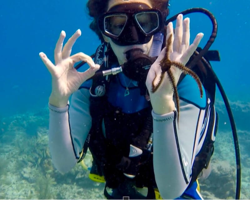 Open Water Checkout Dives in Marathon