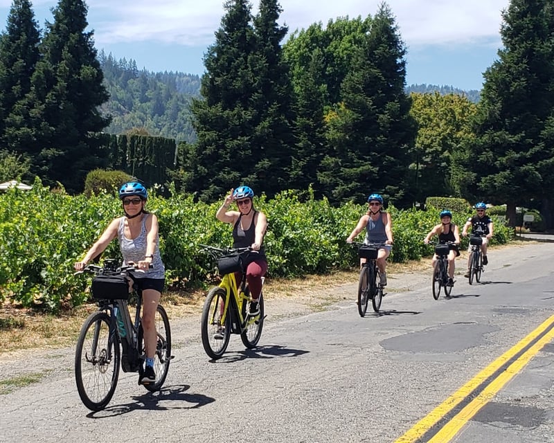 Private Dry Creek Valley Wine Bike Tour From Healdsburg