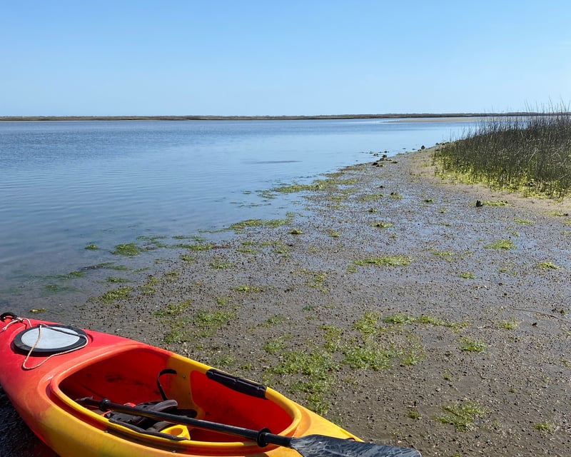 2-Hour Kayak Tour of Zeke's Island