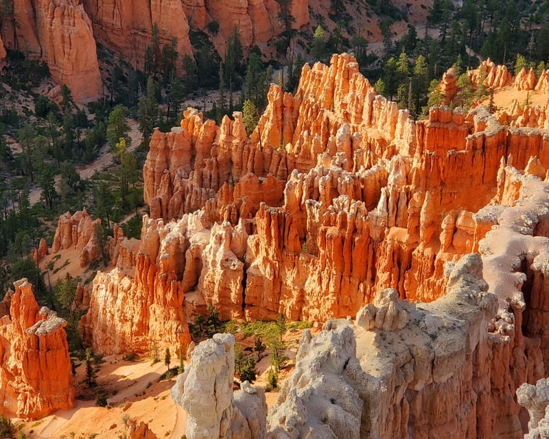 Bryce Canyon National Park 9-Hour Guided Hike