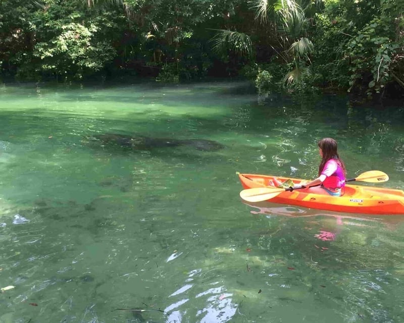 Spring-Fed Weeki Wachee River Kayak & Canoe Rental