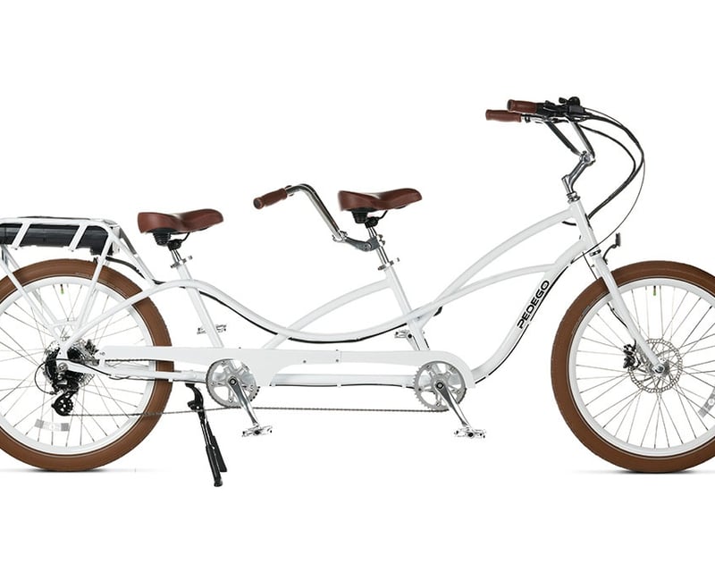 Tandem E-Bike Rental in Dunedin