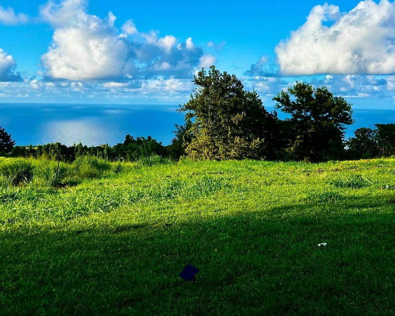 Couples Farm Animal Encounter in Laupahoehoe