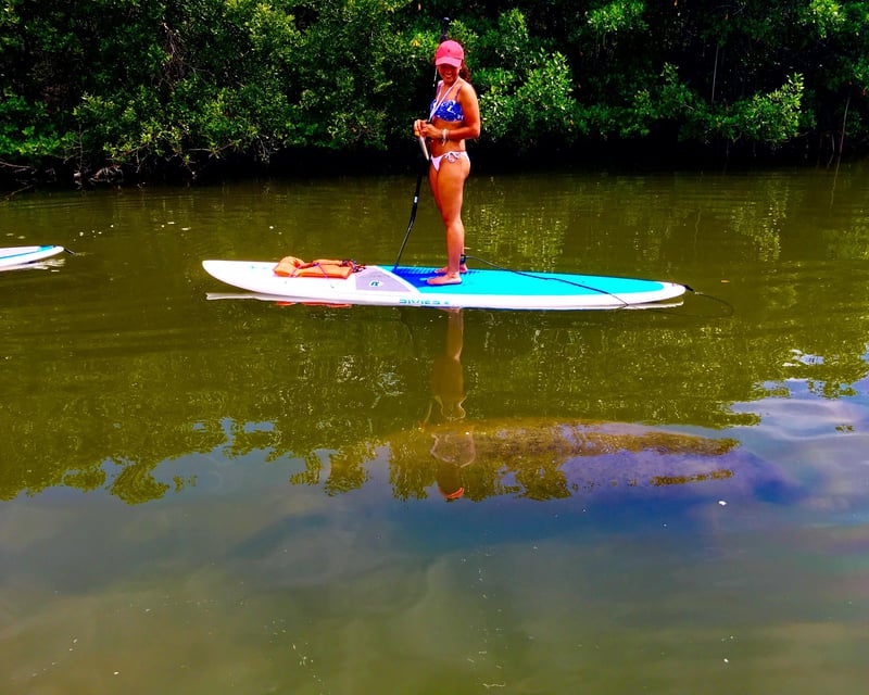 Paddleboard Rental in Merritt Island