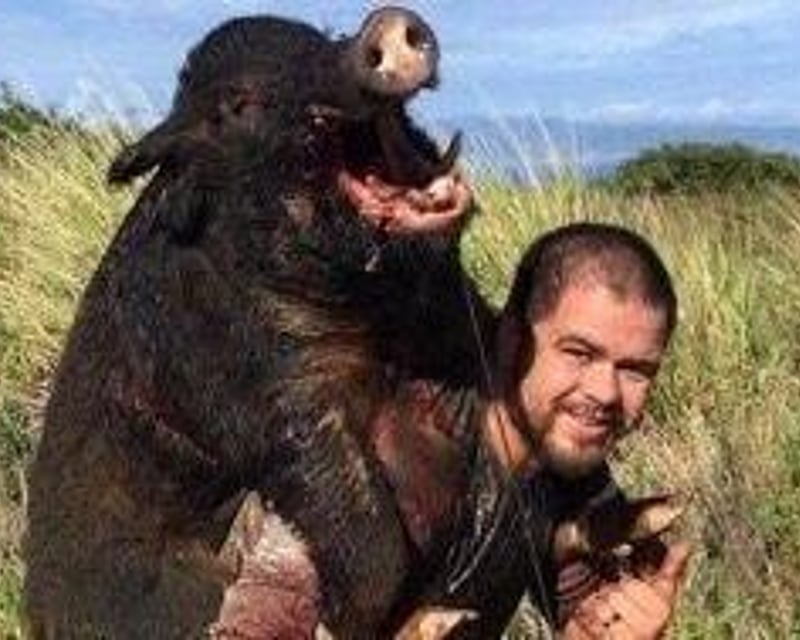 Maui Wild Boar Hunting with Dogs & Knives