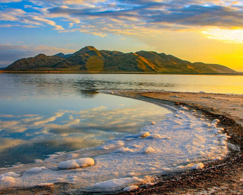 2-Hour Great Salt Lake State Park Guided Tour