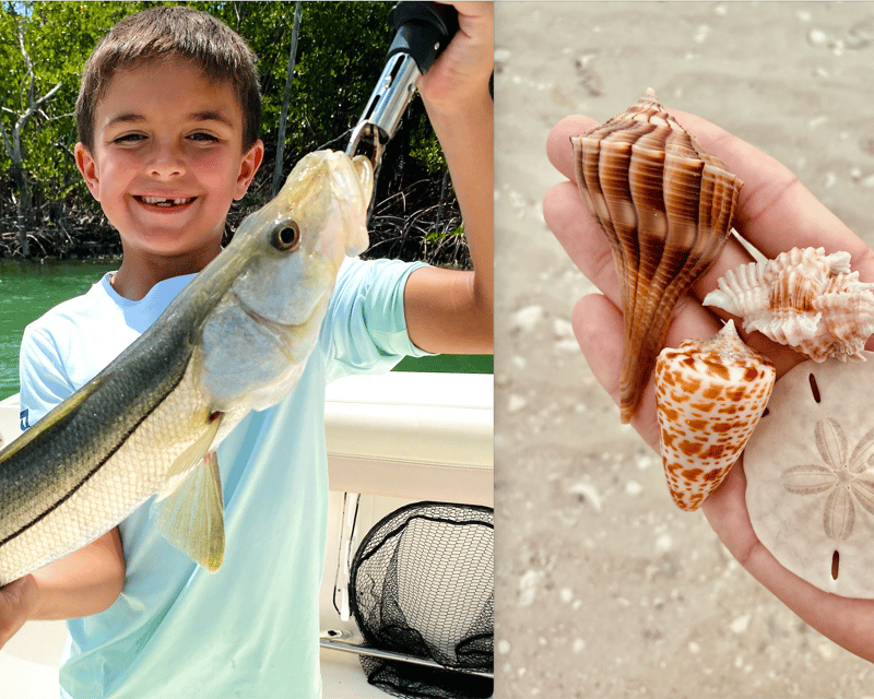 3-Hour Shelling & Inshore Fishing Tour in Goodland