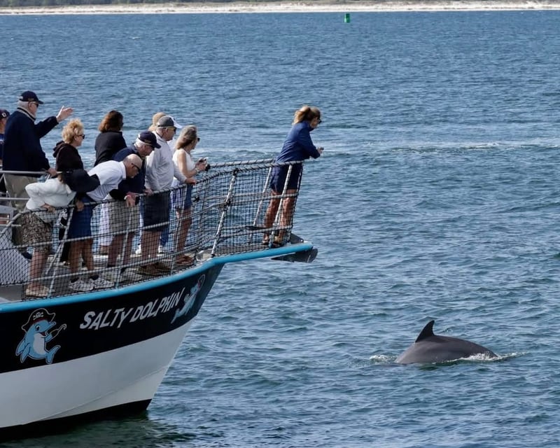 Private Pensacola Beach Dolphin Tour on Santa Rosa Sound