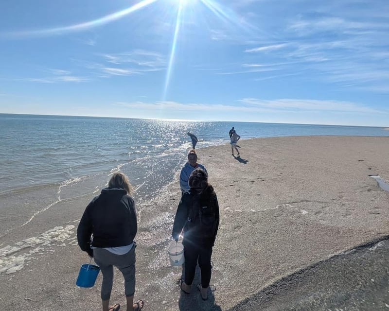 Self-Guided Shelling Tour From Marco Island