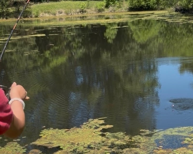 Catch & Release Pond Fishing on a Farm in Stafford, VA