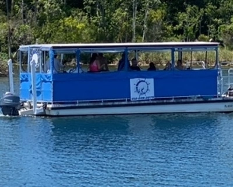 Manatee Viewing Cruise in Crystal River