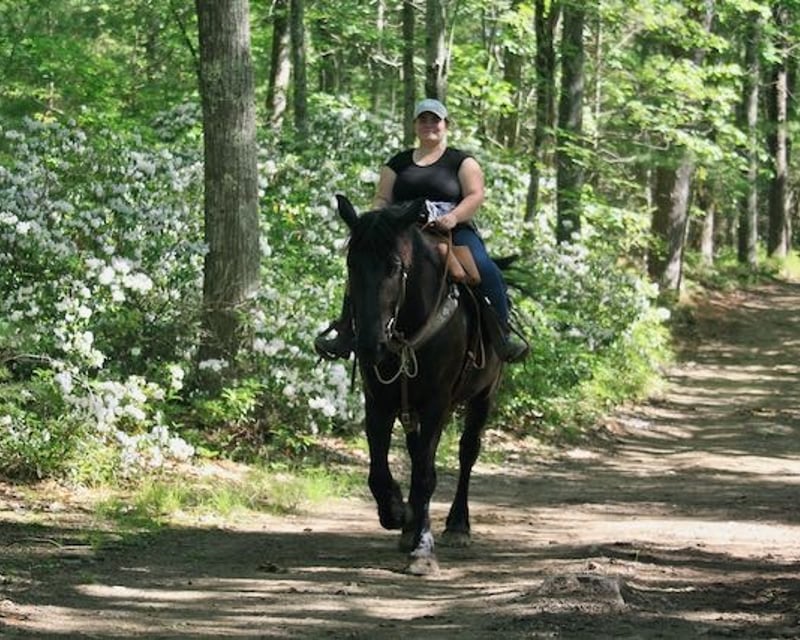 Private 45-Minute to 1-Hour Trail Ride at Cornerstone Ranch