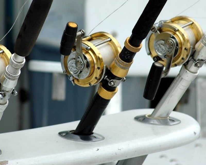 4-Hour Backwater Fishing Charter in Marco Island
