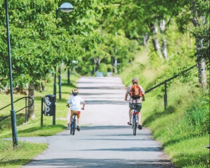 Central Park Bike Rental with Comfort Hybrid Bikes