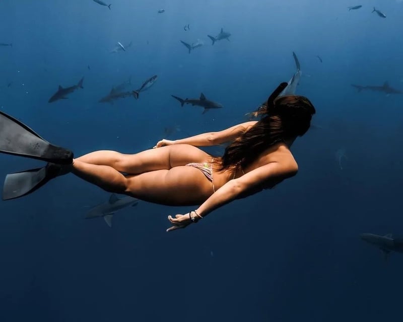 Open Water Shark Snorkeling Tour in Haleiwa