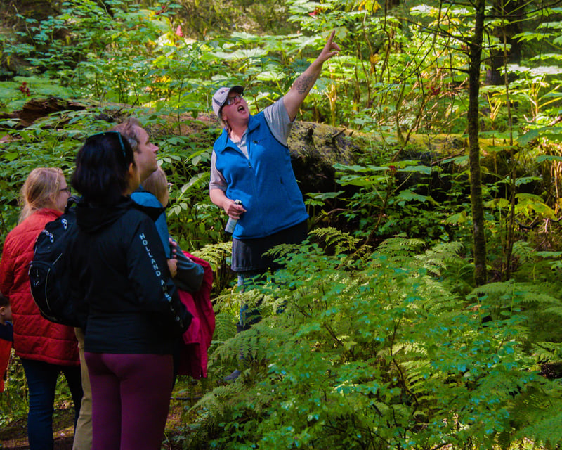 Customize a Private 2.5-Hour Sitka Scenic Tour