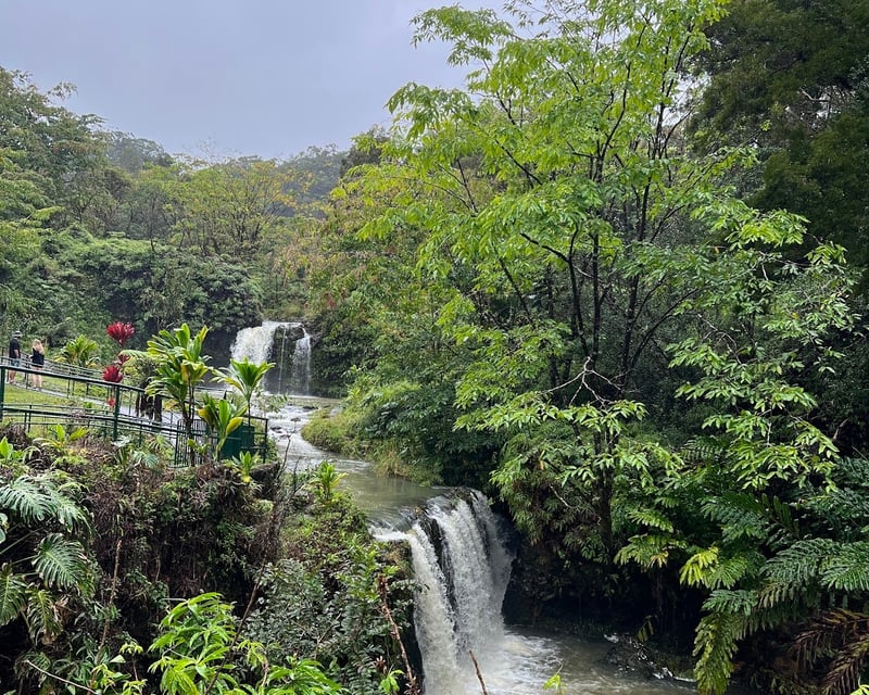 Half-Day Road to Hana Tour with Native Hawaiian Guides