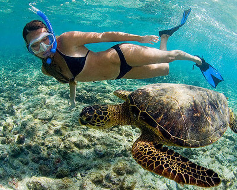 Snorkeling Boat Tour in Honolulu