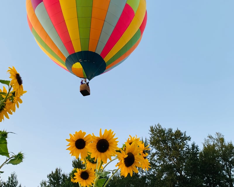 Sunset Hot Air Balloon Flight in Snohomish