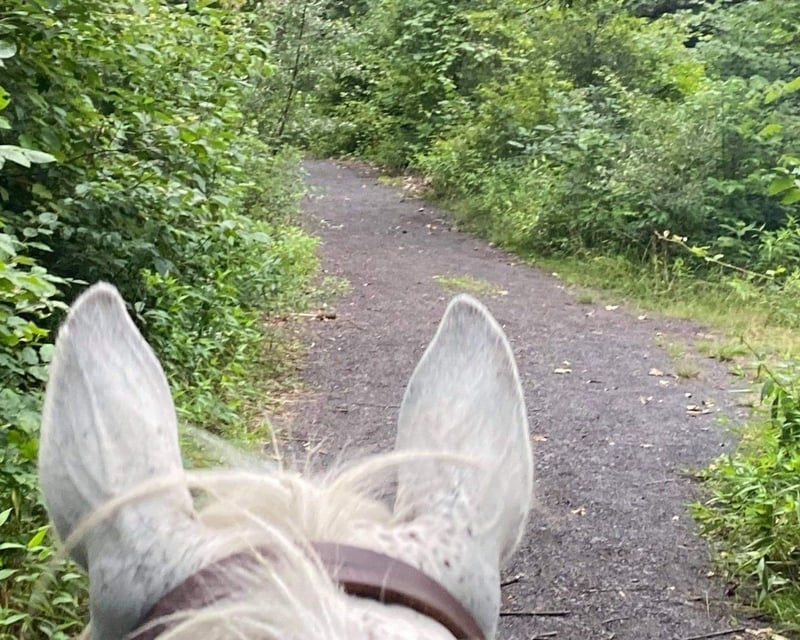 Horseback Trail Ride in George Washington National Forest