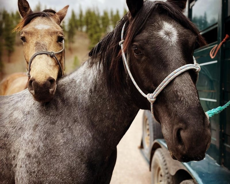 Horseback Riding & Scenic Rafting Tour in Pilar