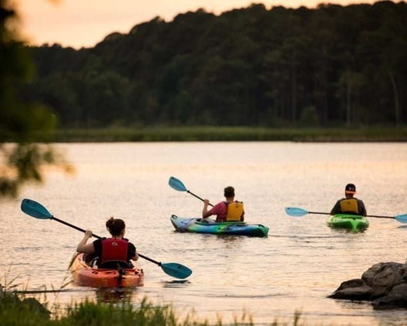 2-Hour Guided Kayak Tour on Little Blackwater River