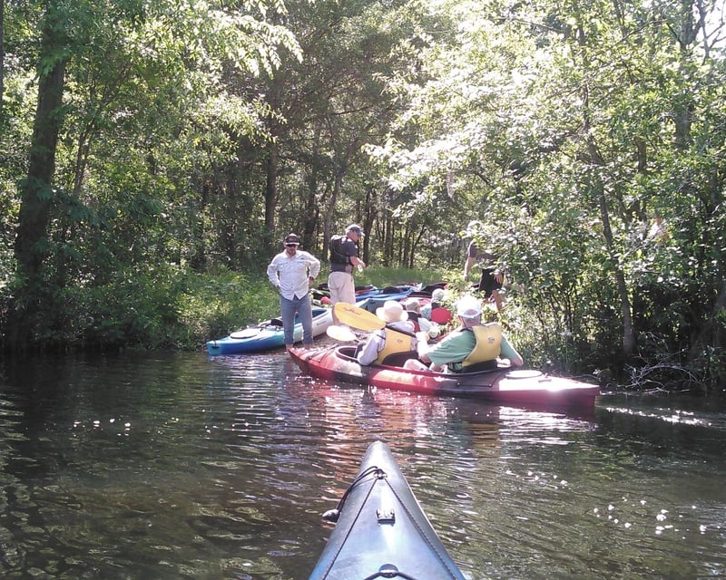 Town Creek & Rice Creek Swamp Kayak Tour Near Wilmington