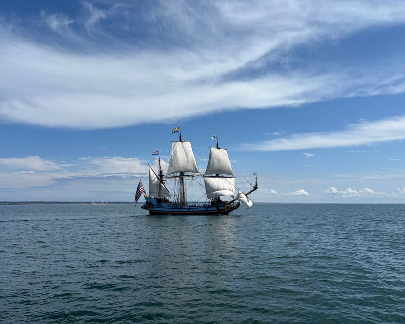 Private Whale Watching Cruise from Provincetown