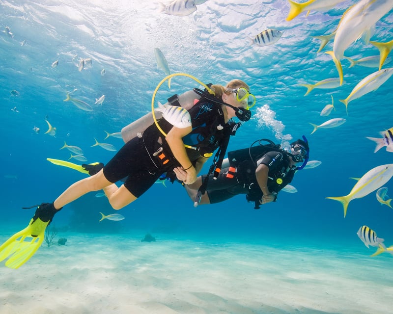 2-Tank Guided Dive in Key Largo