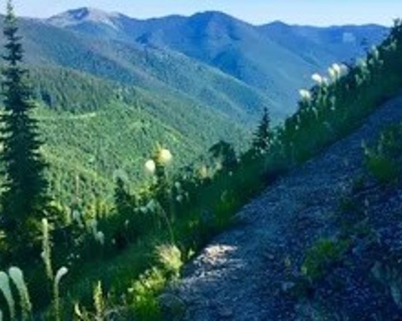 Gypsy or Salmo Mountain 4x4 & Hike from Metaline Falls