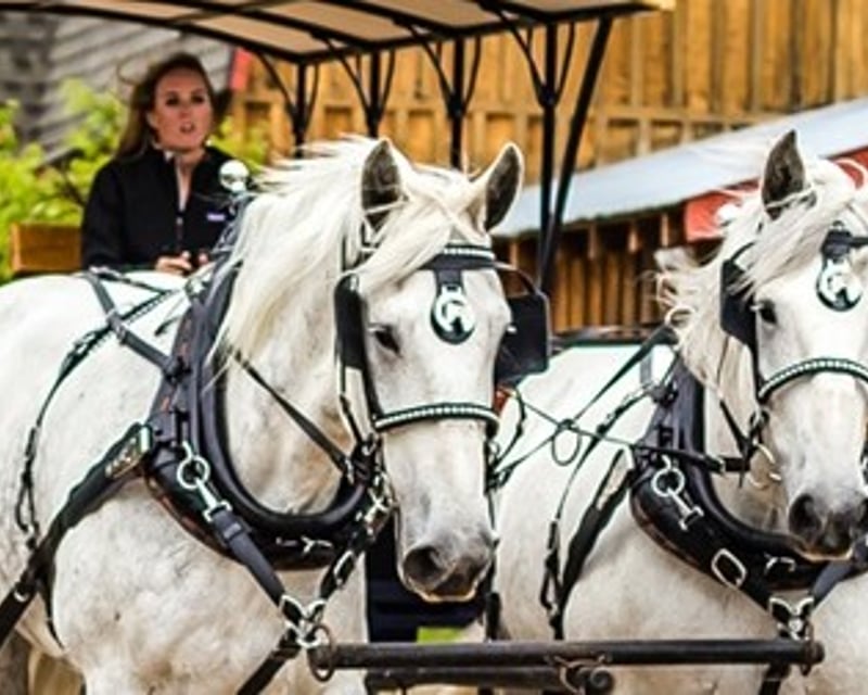 Horse-Drawn Wine Tasting Tour in Palisade