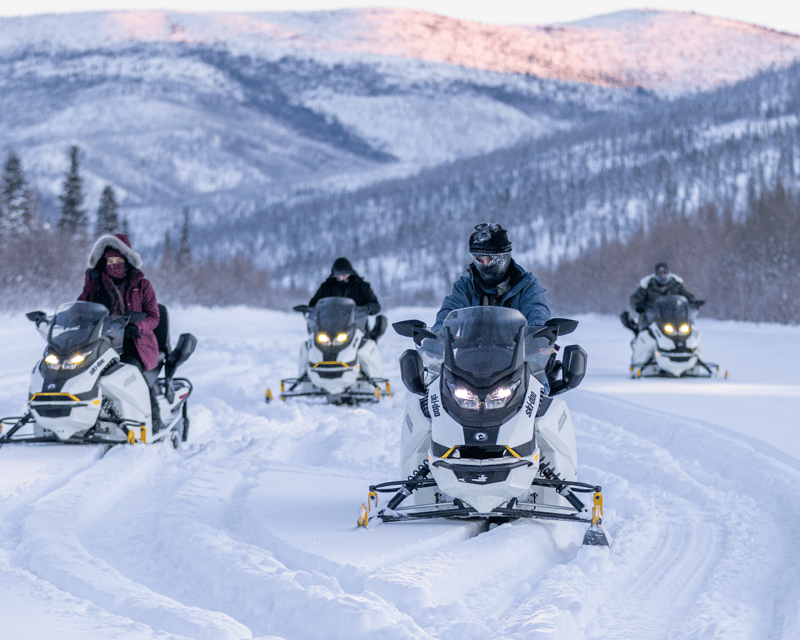 Guided Electric Snowmobile Tour