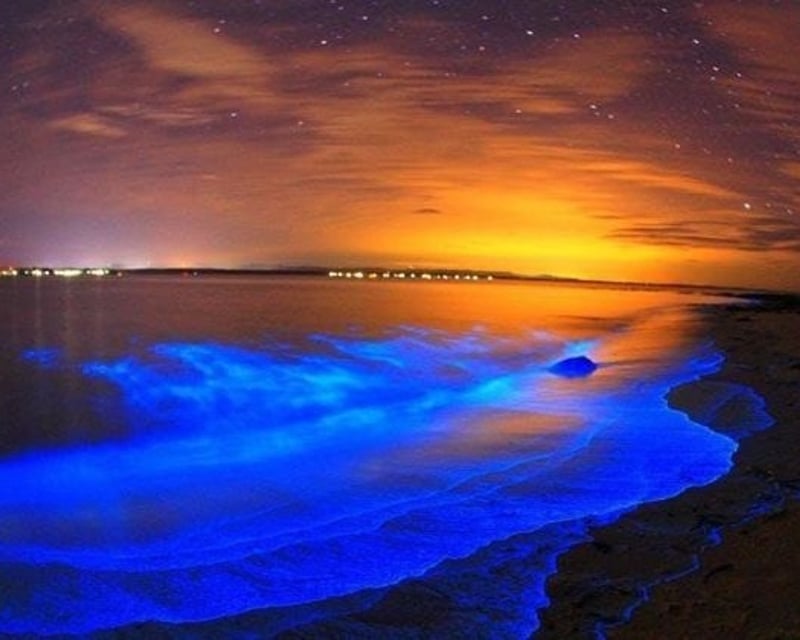 Bioluminescence Kayak Tour in Port Canaveral