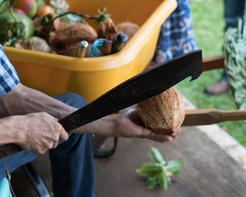 Private Kahuku Farms Coconut Workshop & North Shore Tour