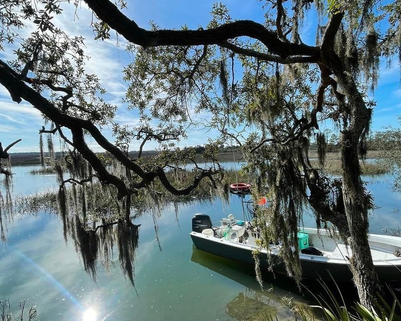 Tybee Island 4-Hour Surf Fishing Charter