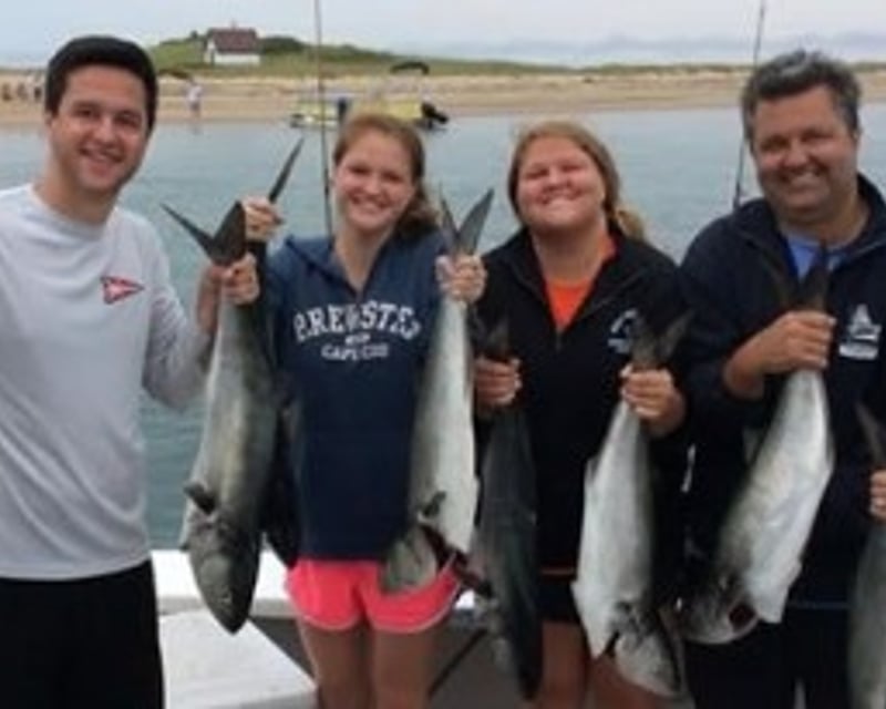 Tuna Fishing Charter in Provincetown
