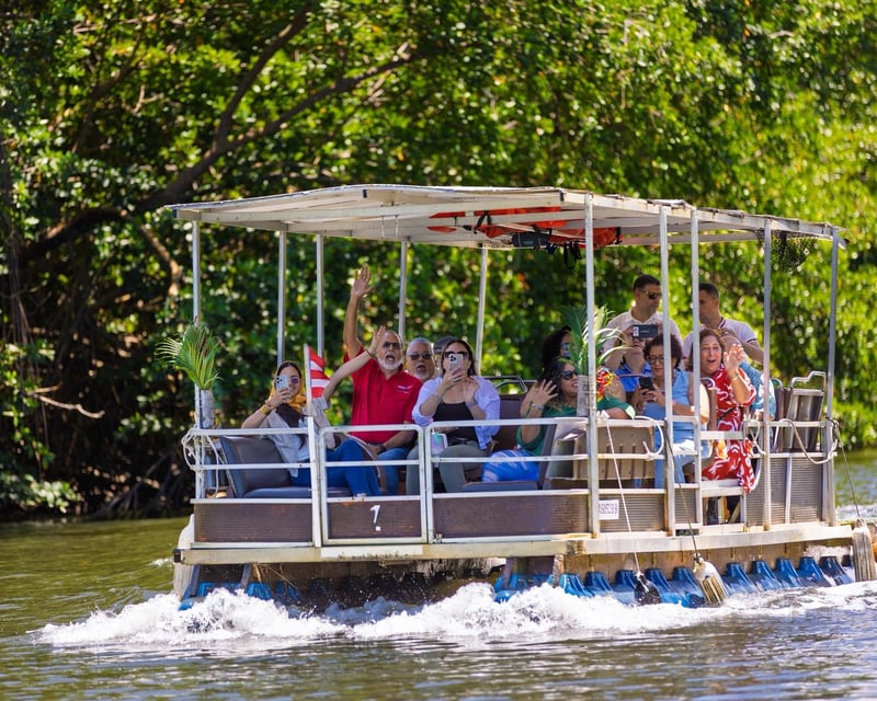 Espíritu Santo River Mangrove Boat Tour in Río Grande