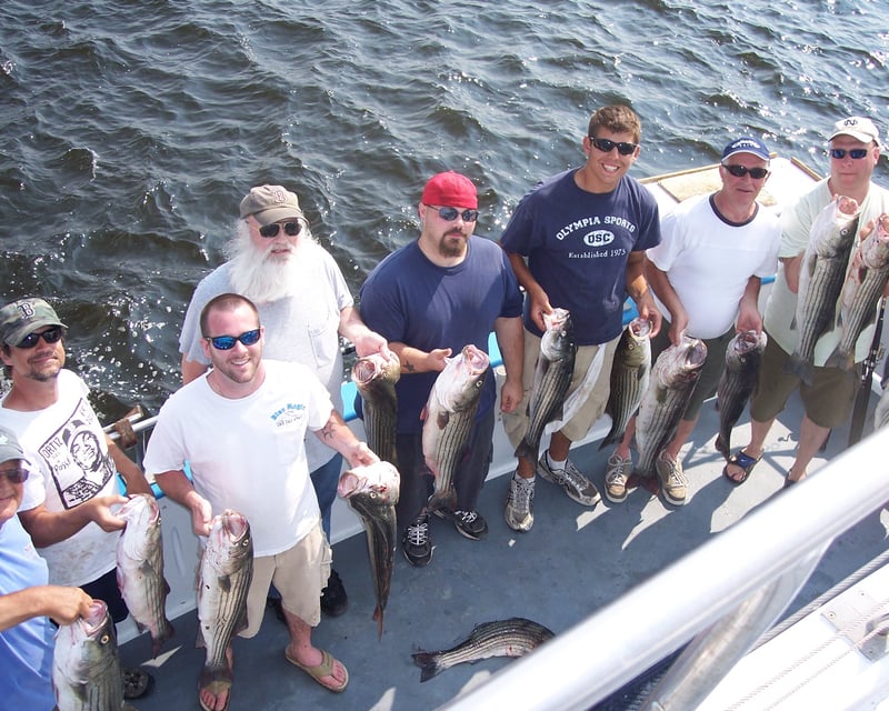 4-Hour Mackerel & Bass Fishing Trip in Newburyport