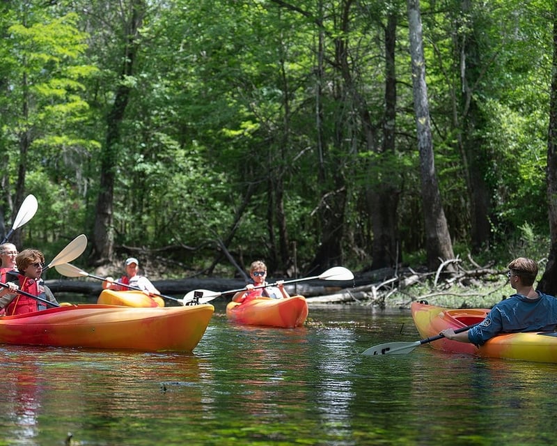 Chipola River Paddle Tour at Florida Caverns State Park