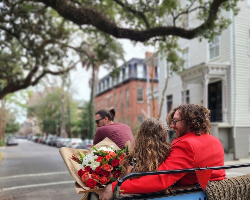 Savannah Historic District 1-Hour Pedicab Tour
