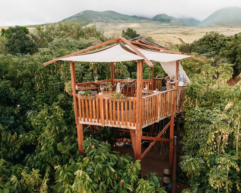 Chocolate Farm Tour & Dinner in Lahaina