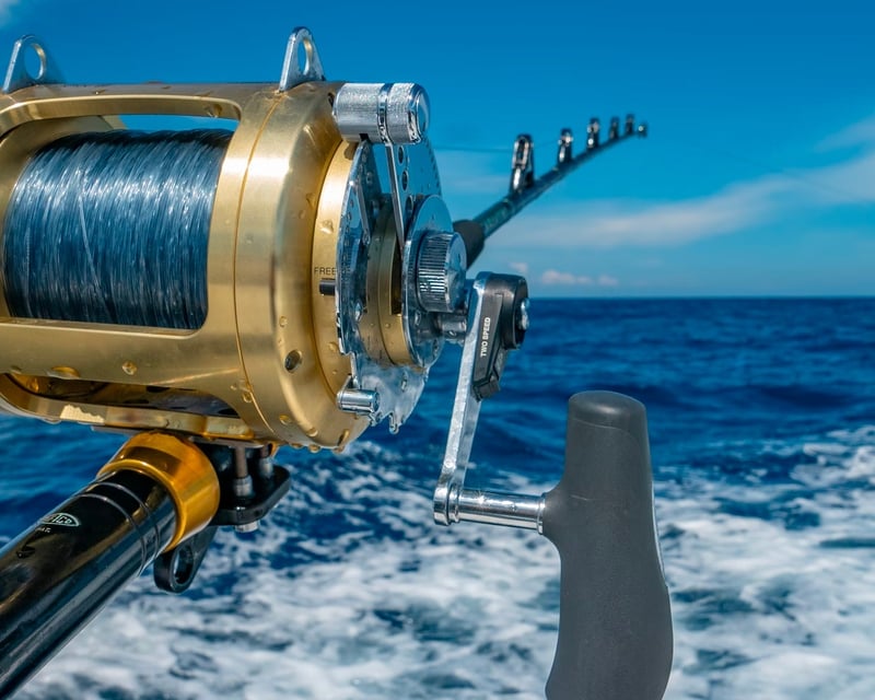 12-Hour Deep Sea Fishing Charter in Pensacola Beach