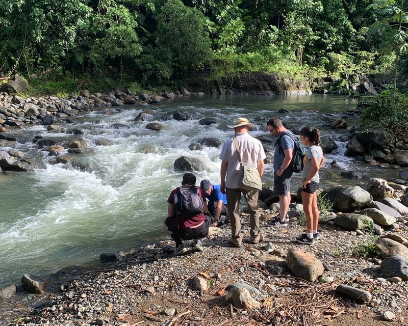 El Yunque Rainforest Walk & Luquillo Beach from San Juan