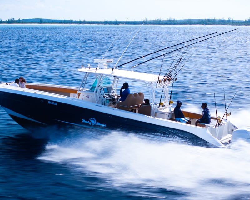 4-Hour Bottom Fishing Charter in Providenciales