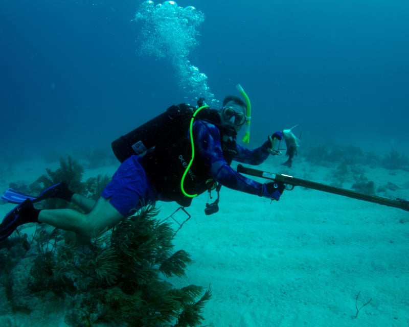 2-Day Marathon Spearfishing Certification Course