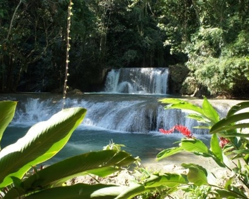8-Hour South Coast Jamaica Adventure Tour