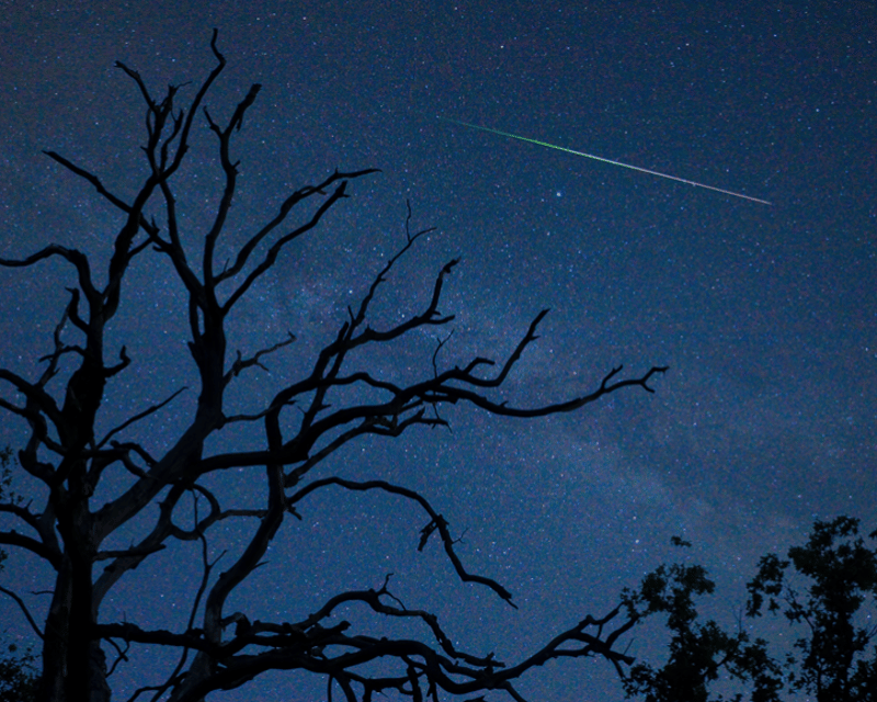 Meteor Shower Kayak Tour on Chassahowitzka River